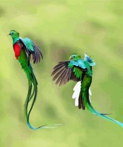 Quetzal Birds paint by number