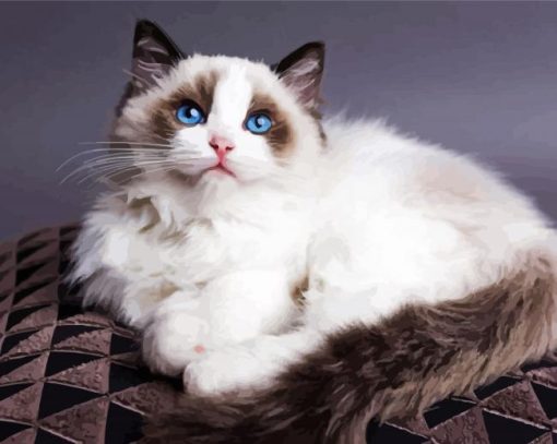 Ragdoll Kitty paint by numbers
