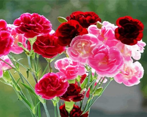Red And Pink Carnations paint by number