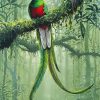 Resplendent Quetzal paint by numbers