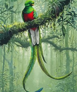 Resplendent Quetzal paint by numbers