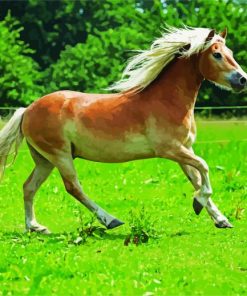 Running Pony In Field paint by number