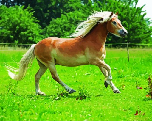 Running Pony In Field paint by number