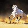 Running White Andalusian Horse paint by numbers