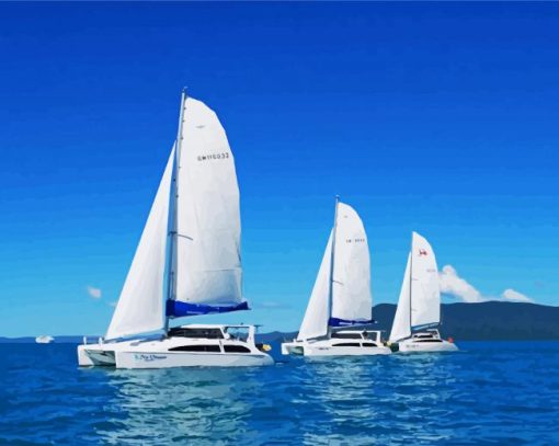 Sailing Catamarans paint by number
