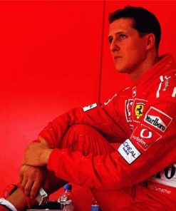 Schumacher paint by numbers