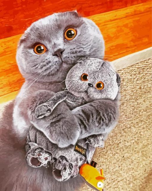 Scottish Fold Cats paint by numbers