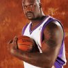 Shaq Basketball Player paint by numbers