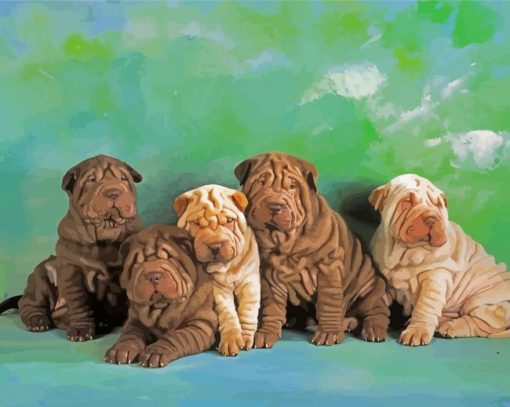 Shar Pei Puppies paint by numbers