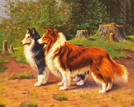 Shelties paint by numbers