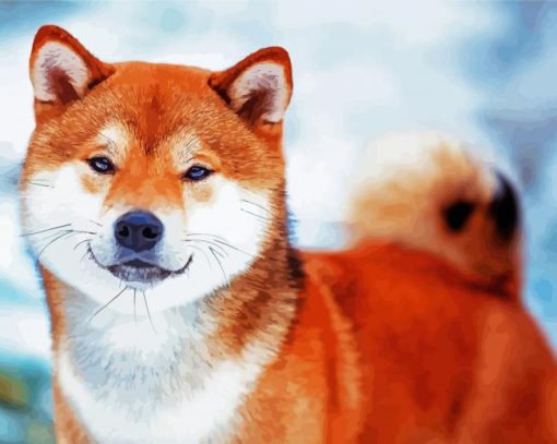 Shiba Inu Puppy paint by numbers