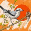 Chinese Grey Shrike paint by numbers
