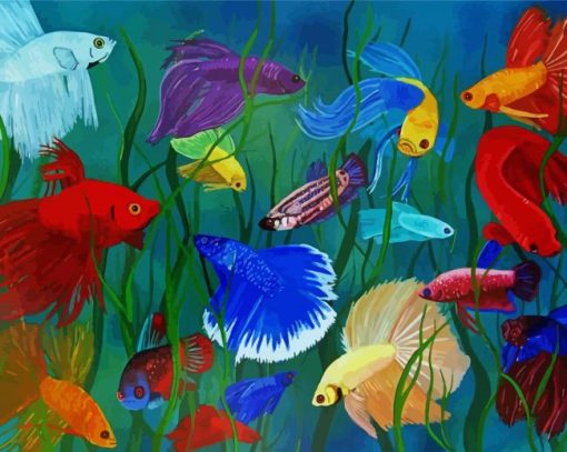 Siamese Fighting Fish paint by number