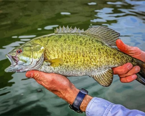 Smallmouth Fish paint by number
