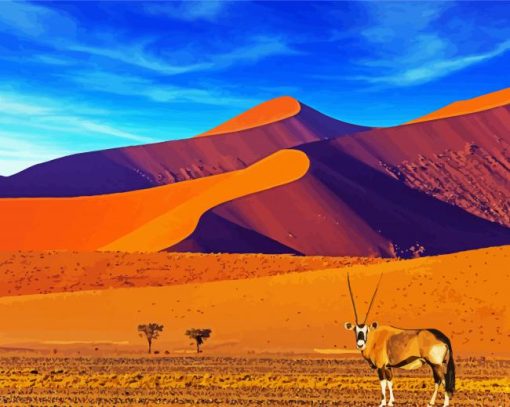Southern Africa Namibia paint by number
