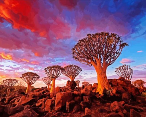Southern Nambia Aloe Dichotoma Trees paint by numbers