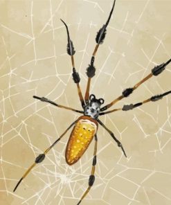 Spider Art paint by numbers