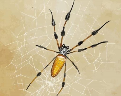 Spider Art paint by numbers
