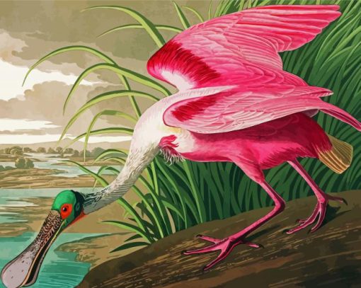 Spoonbill Art paint by numbers