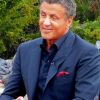 Stallone Sylvester Actor paint by numbers