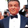 Stallone Sylvester paint by number