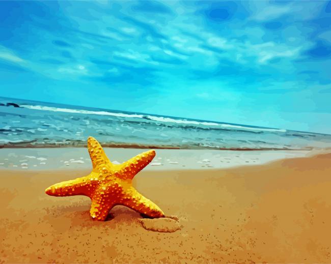 Starfish By Sea paint by number