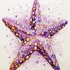 Starfishes paint by number