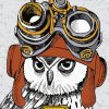 Steampunk Owl Art paint by numbers