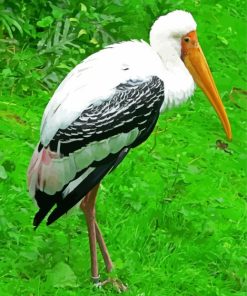 Stork Bird paint by numbers