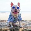 Stylish French Bulldog paint by number
