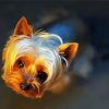 Teacup Yorkshire Terrier paint by number