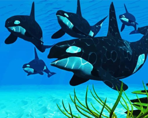 The Killer Whale paint by number