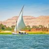 The Nile River Egypt paint by numbers
