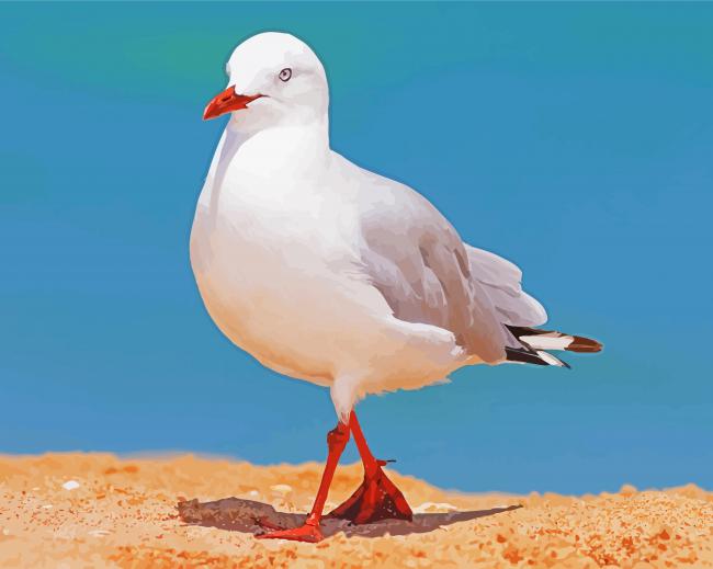 The Seagull Bird paint by number
