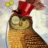 The Steampunk Owl paint by numbers