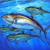 The Tuna Fish Underwater paint by number