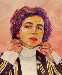 Timothee Chalamet Art paint by number