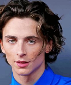 Timothee Chalamet paint by number