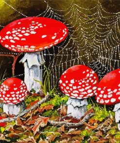 Toadstools Illustration Art paint by number