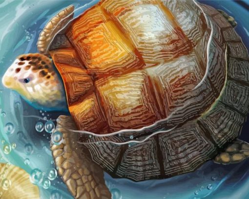 Tortoise In Water paint by number