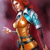 Triss Merigold The Witcher Game paint by number