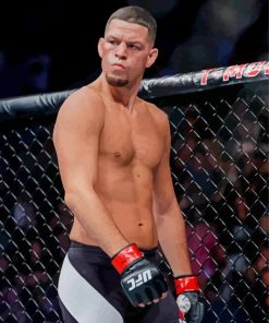 UFC Nate Diaz paint by numbers