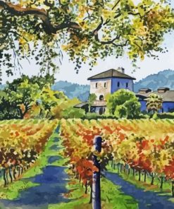 Vineyard paint by number