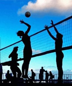 Volleyball Players Silhouette paint by number