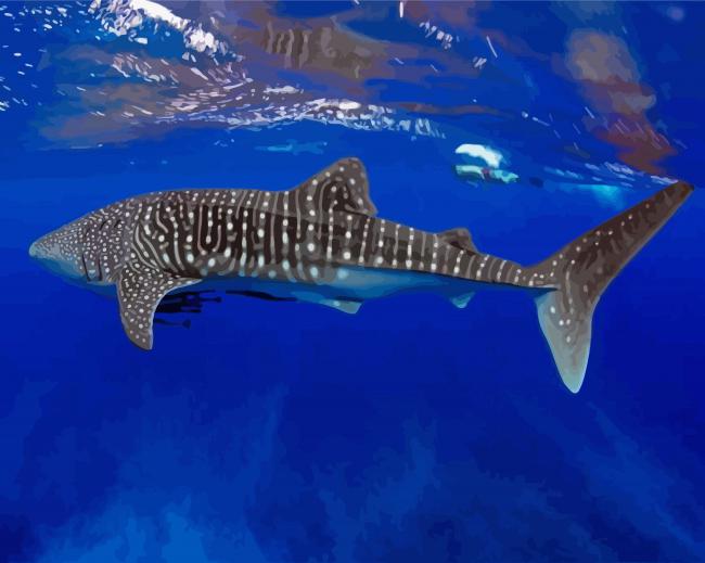 Whale Shark Underwater paint by number
