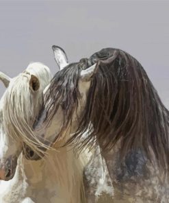 White Andalusian Horses paint by numbers