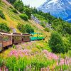 White Pass & Yukon Route Railway Alaska paint by number