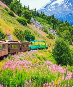 White Pass & Yukon Route Railway Alaska paint by number