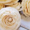 White Ranunculus Flowers paint by number