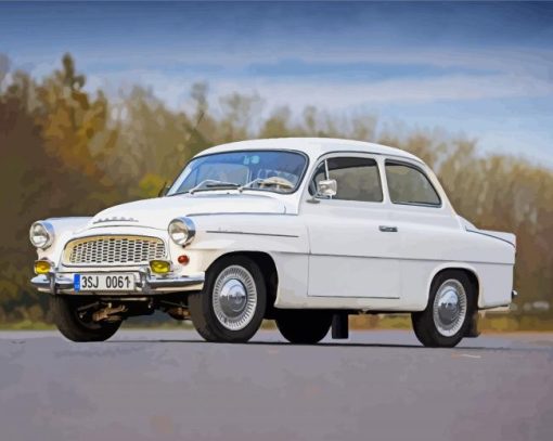 White Skota Car paint by numbers